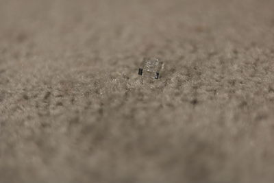 Full frame shot of wet leaf