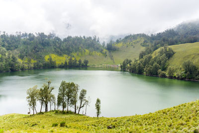 Scenic view of lake by trees against sky