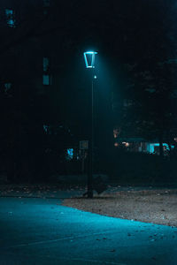 Illuminated street light on road at night