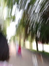 Blurred motion of trees on road