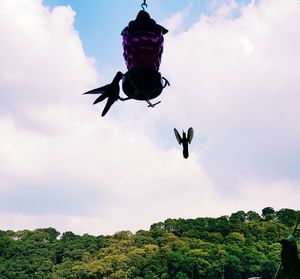 Low angle view of bird flying in sky