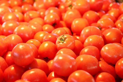 Full frame shot of tomatoes