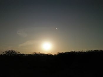 Silhouette trees against sky during sunset