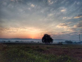 Scenic view of field against sky during sunset