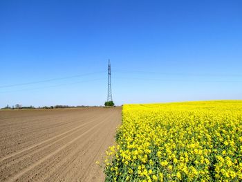 Scenic view of agricultural field against clear sky