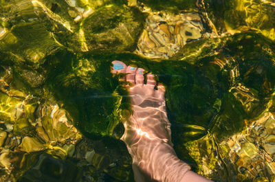 High angle view of foot in water