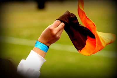Close-up of hand holding flower