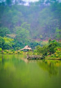 Scenic view of lake with trees in background