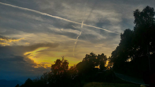 Low angle view of silhouette trees against sky during sunset