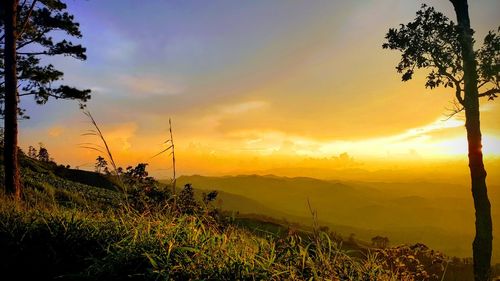 Scenic view of landscape against sky during sunset
