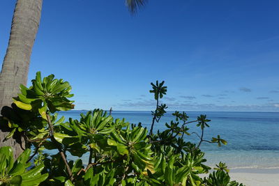 Scenic view of sea against clear blue sky