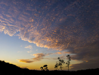 Low angle view of silhouette trees against sky at sunset