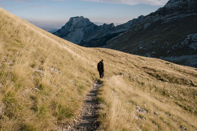 Rear view of person walking on trail