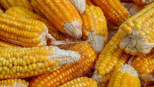 High angle view of vegetables for sale at market stall
