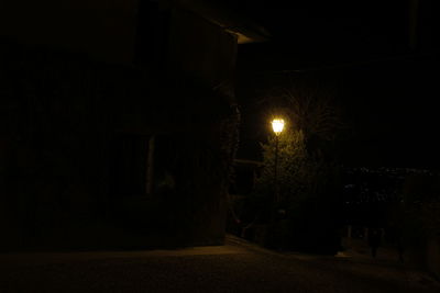 Illuminated street light by building at night