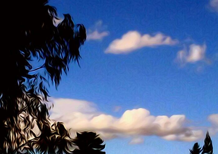 LOW ANGLE VIEW OF TREES AGAINST BLUE SKY