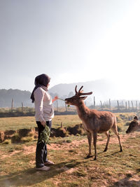 Full length of woman standing with deer on field against sky