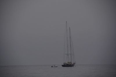 Sailboat sailing on sea against clear sky at night