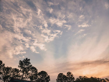 Low angle view of silhouette trees against sky