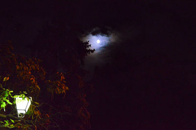 Low angle view of silhouette trees against sky at night