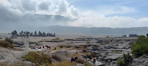 There is a beautiful view around the bromo tengger tourism park, semeru malang, east java, indonesia