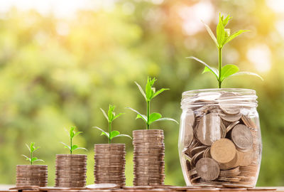 Close-up of coins and plants on table