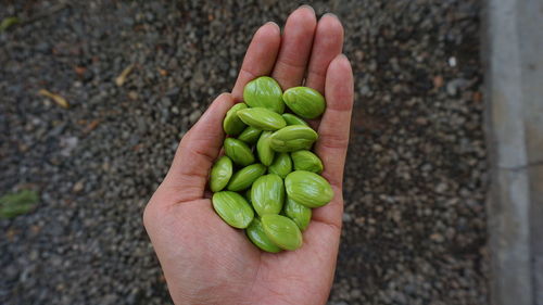 Cropped hand holding almonds