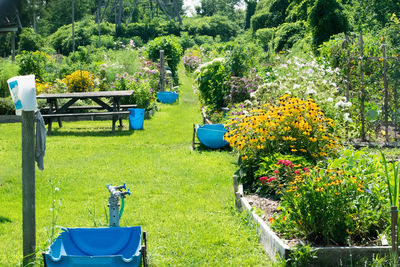 Plants and bench in park