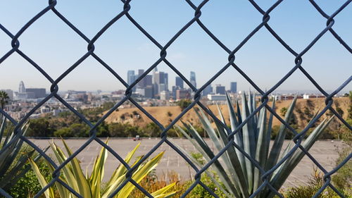 View of la seen through chainlink fence