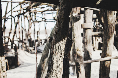 Close-up of wooden fence against trees