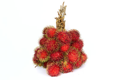 Close-up of berries against white background