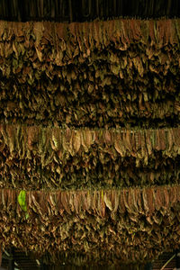 Full frame shot of firewood