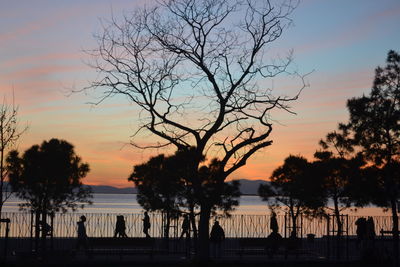 Silhouette trees by sea against sky during sunset