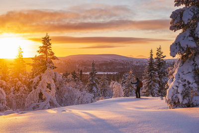 Hiker in snowy forest at sunset