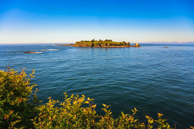 Scenic view of sea against clear sky