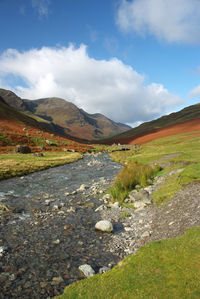 Scenic view of landscape