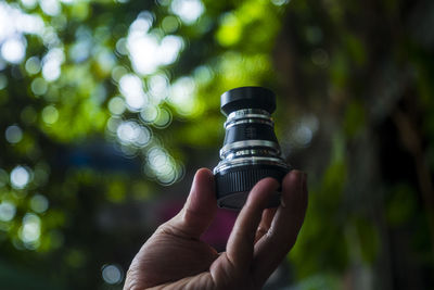 Close-up of hand holding plant against blurred background