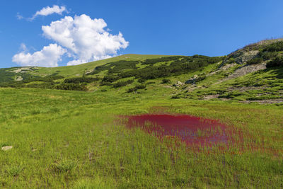 Scenic view of landscape against sky