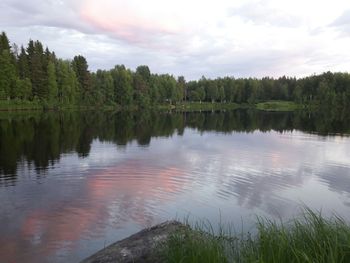 Scenic view of lake by trees in forest against sky