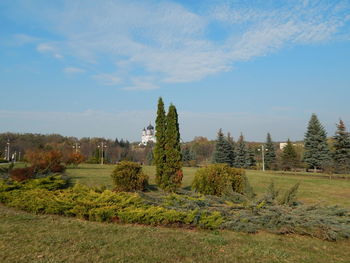 Plants growing on land against sky