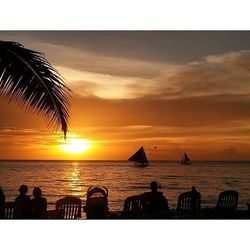 Silhouette of palm trees at sunset