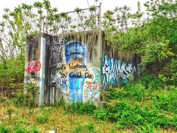 Graffiti on wall by trees