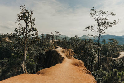 Scenic view of land against sky