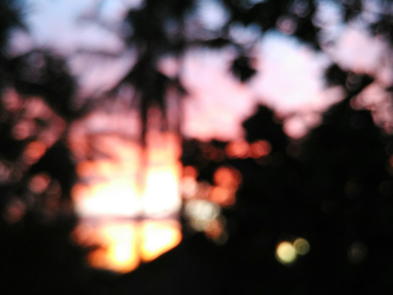 DEFOCUSED IMAGE OF ILLUMINATED TREE