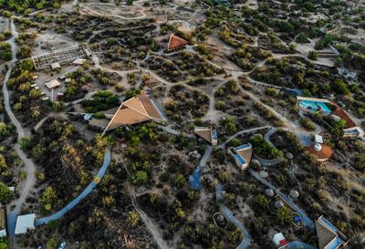 High angle view of buildings and trees in city