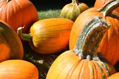 Close-up of pumpkins for sale at market stall