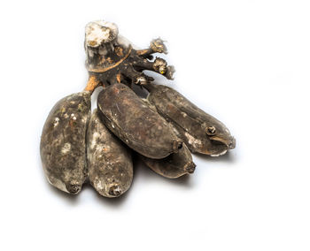 High angle view of crab