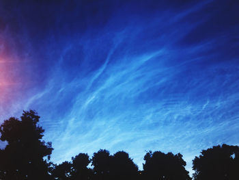 Low angle view of silhouette trees against sky at night