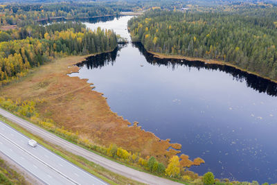 Scenic view of lake in forest during autumn