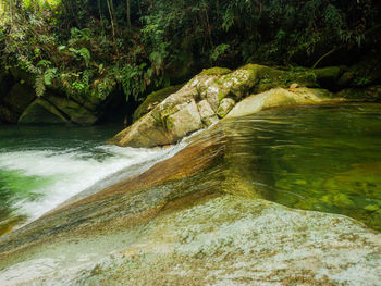 River flowing through rocks in forest